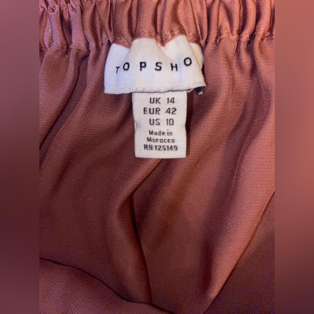Topshop Dusty Rose Maxi Skirt - Picture 9 of 10